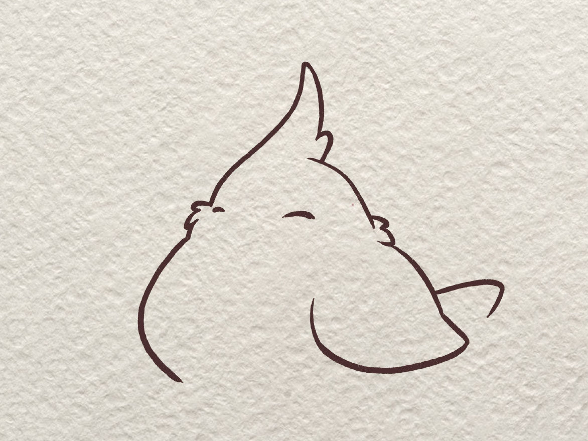 胖啾简笔画画法