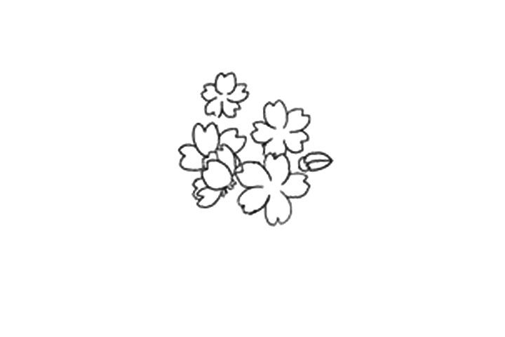 樱花的详细画法图解