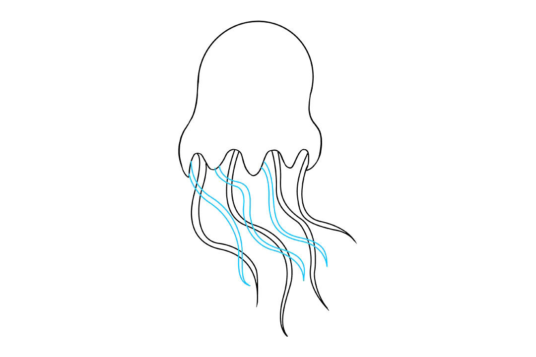 水母怎么画