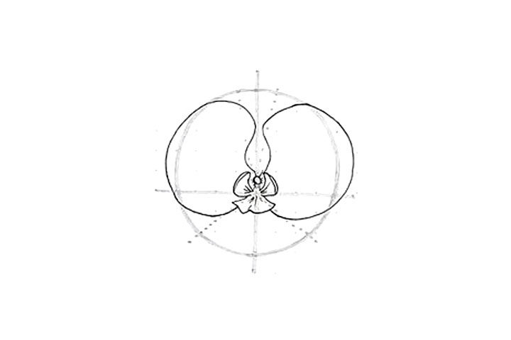兰花花朵简笔画画法步骤