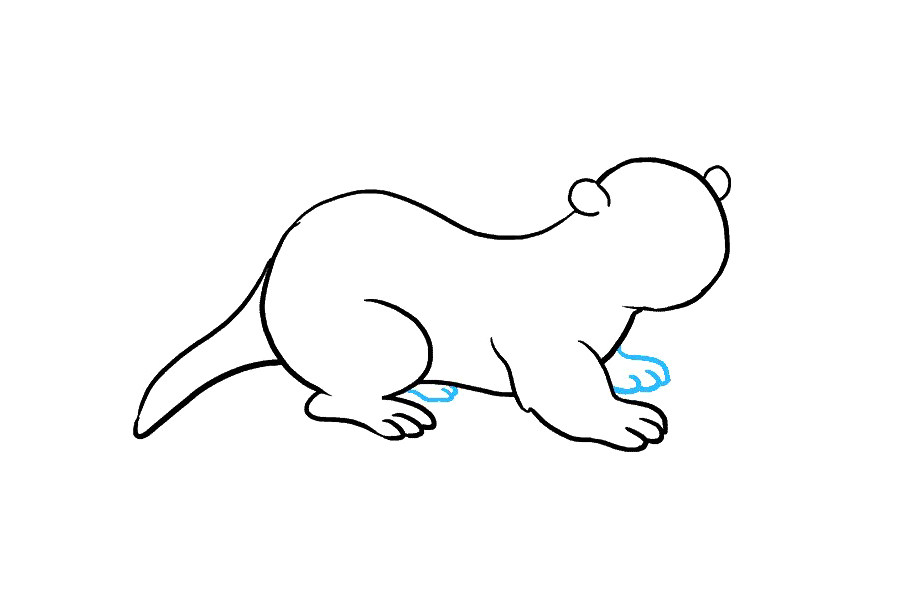 如何画水獭