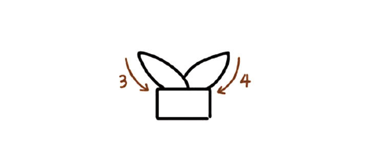 芦荟简笔画教程