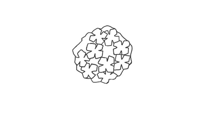绣球花简笔画画法步骤