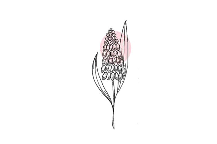 植物花草简笔画漂亮的小花简笔画图片