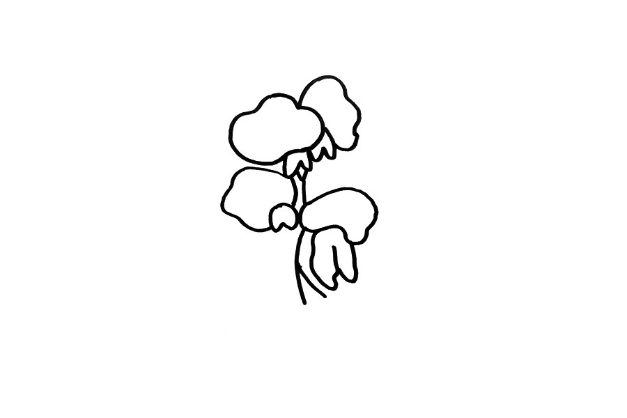 紫藤花怎么画
