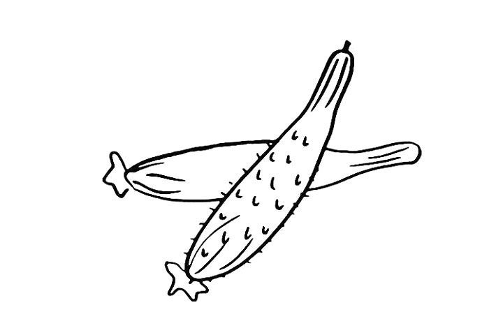 黄瓜简笔画画法步骤