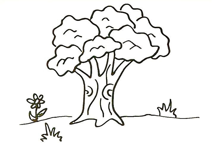 大榕树简笔画画法步骤