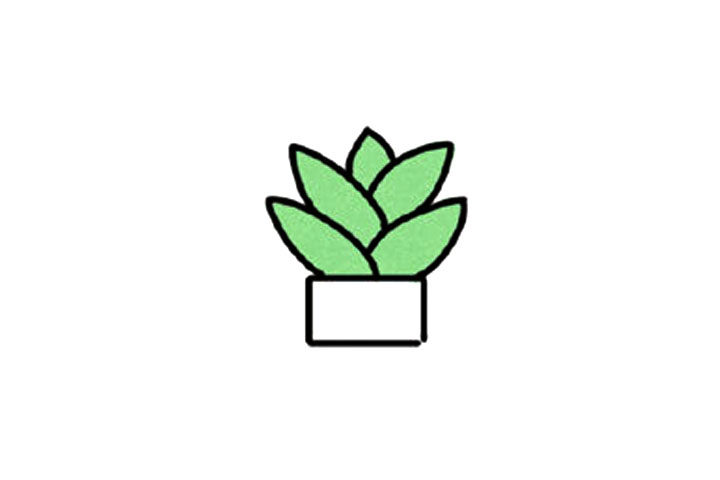 芦荟简笔画教程