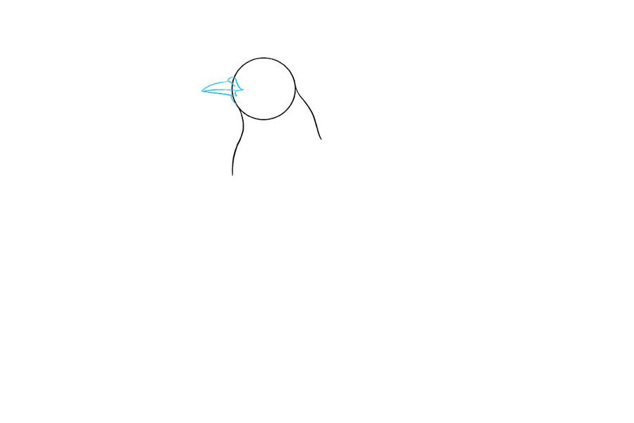 如何画蓝鸦