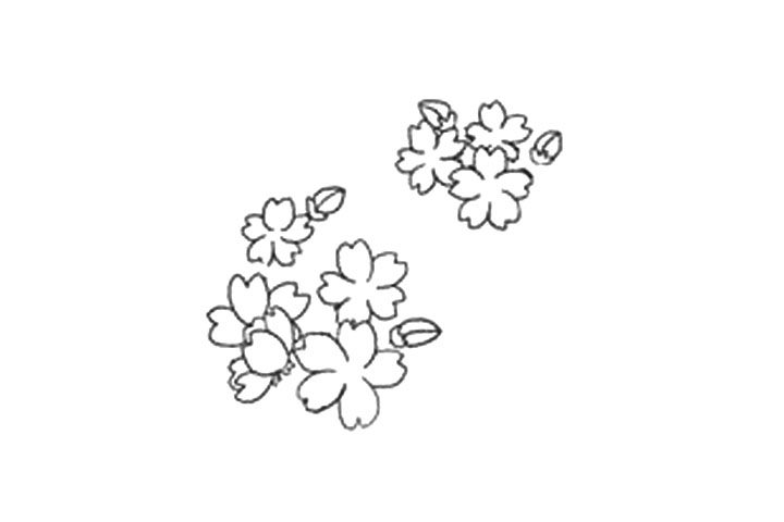 樱花的详细画法图解