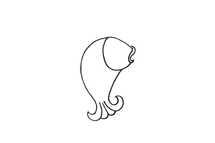 鲤鱼简笔画画法步骤
