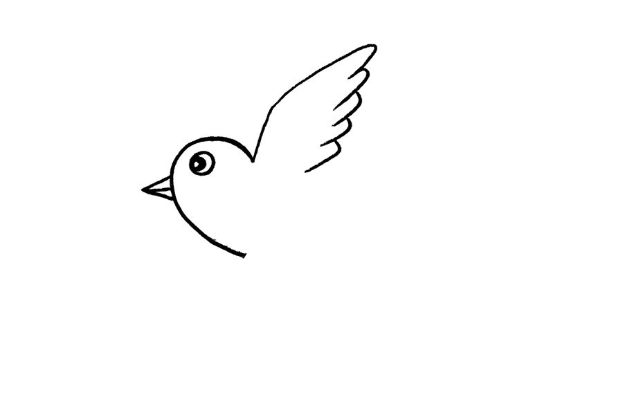 春天的燕子简笔画画法步骤