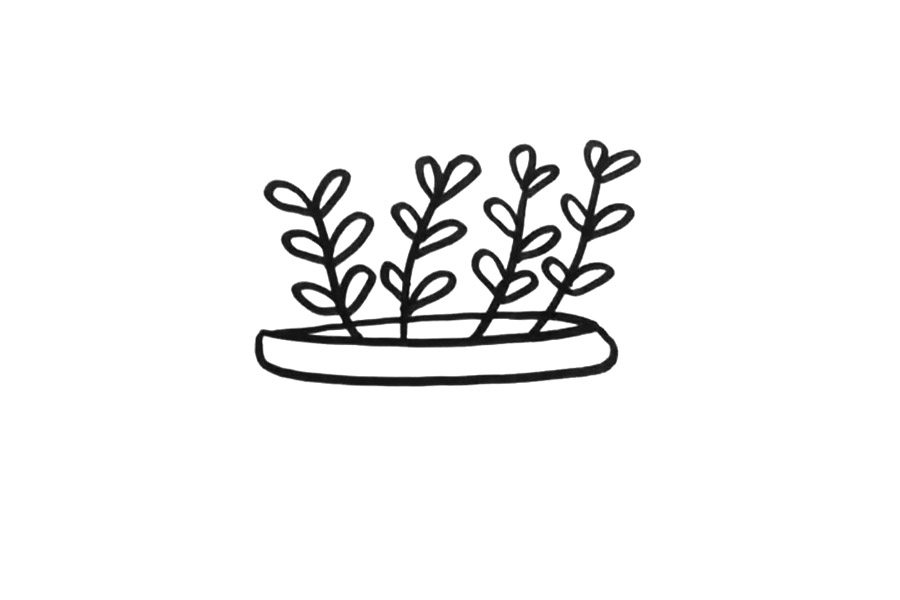 可爱盆栽绿植怎么画
