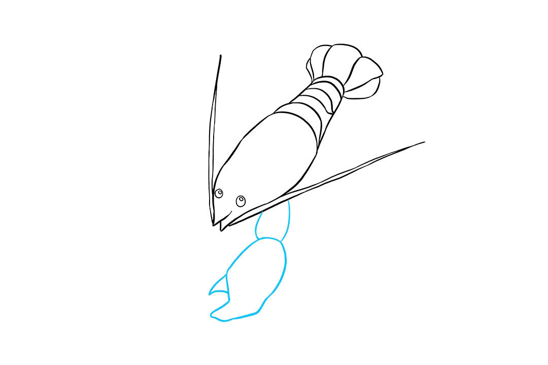 如何画龙虾简笔画
