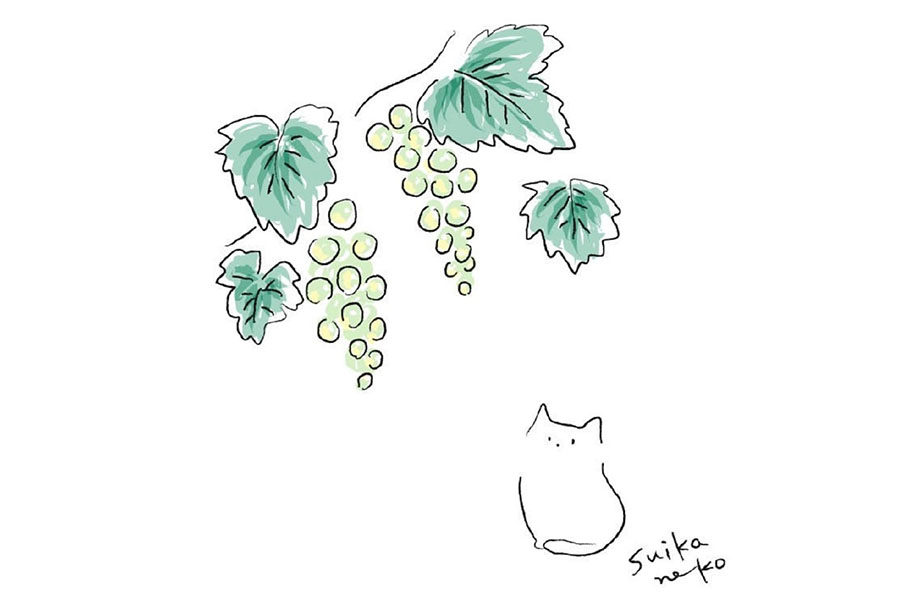猫咪与花儿简笔画图片