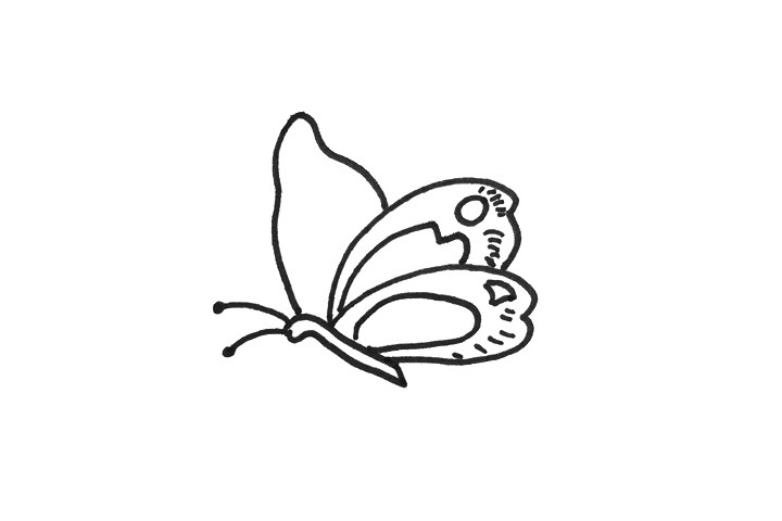 简单又漂亮的蝴蝶简笔画步骤
