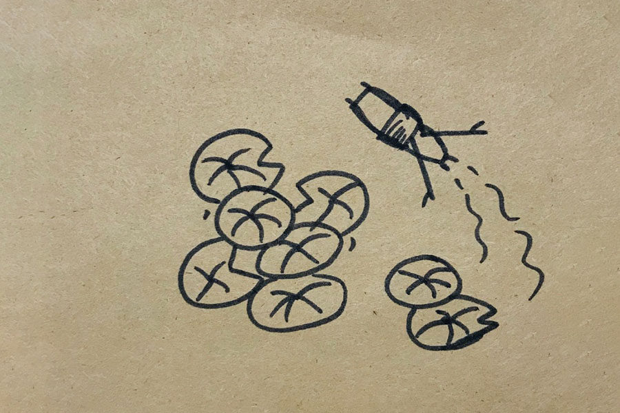 荷叶田田青照水 荷塘风景简笔画图片