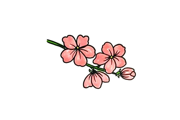 漂亮的桃花简笔画步骤