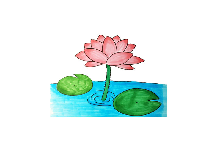 一组漂亮的花朵简笔画图片大全