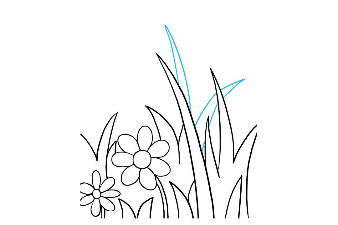 路边的野花怎么画
