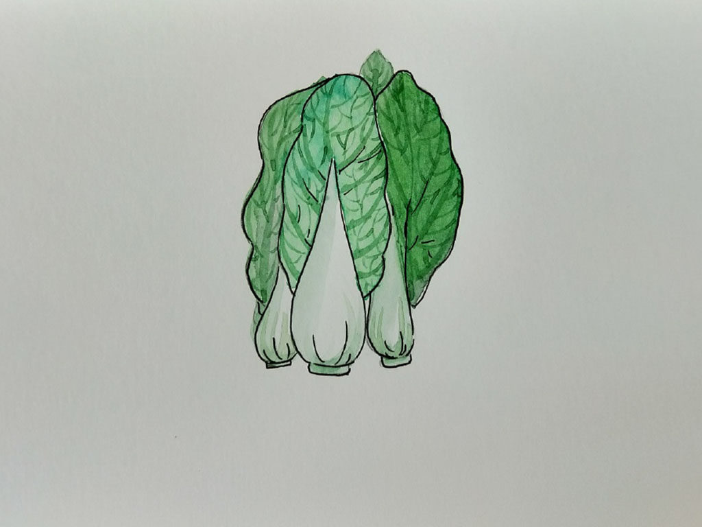 蔬菜怎么画好看