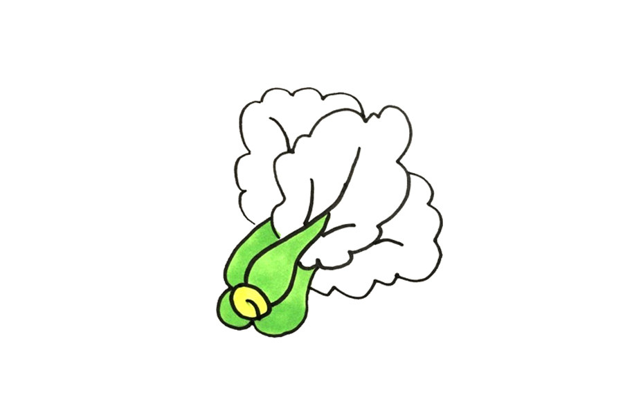 蔬菜简笔画大全 青菜简笔画怎么画
