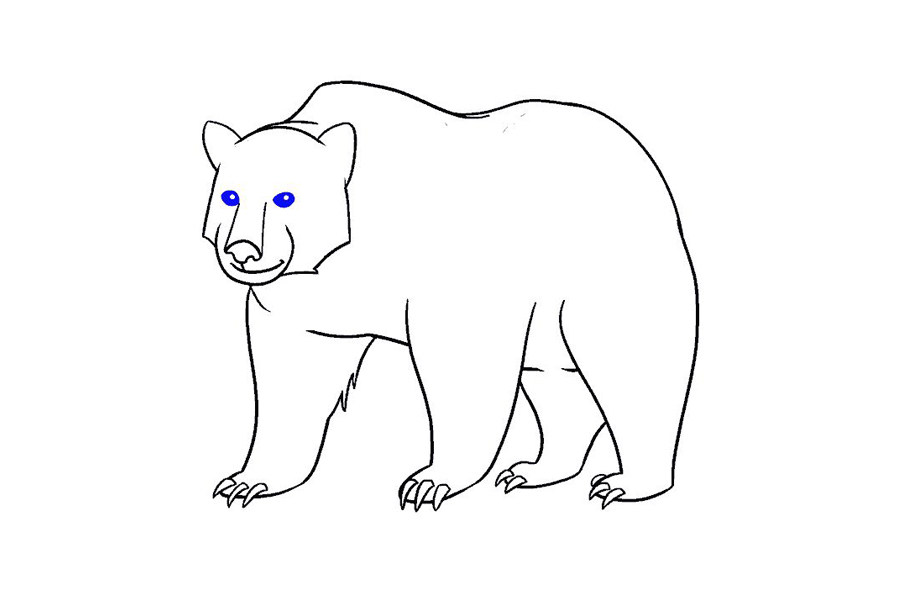 如何画棕熊