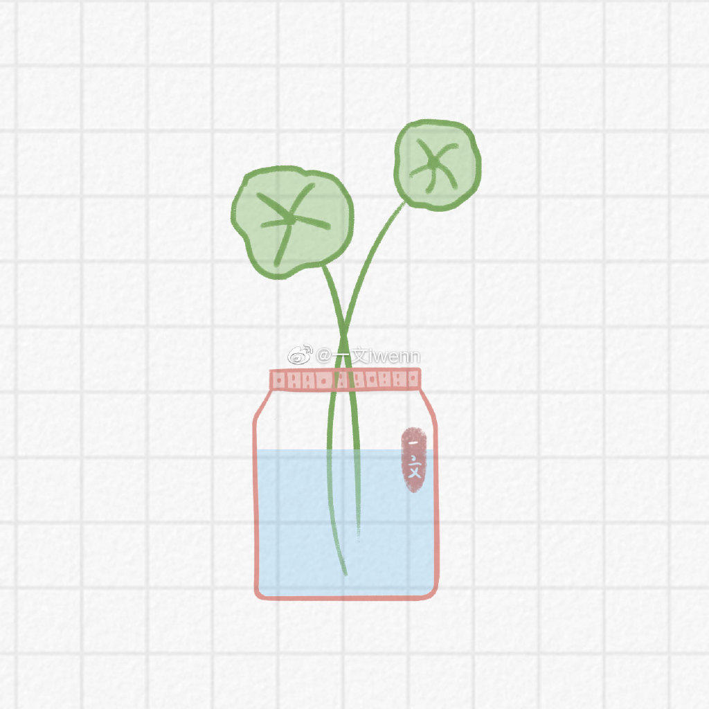 小清新的水培植物简笔画图片