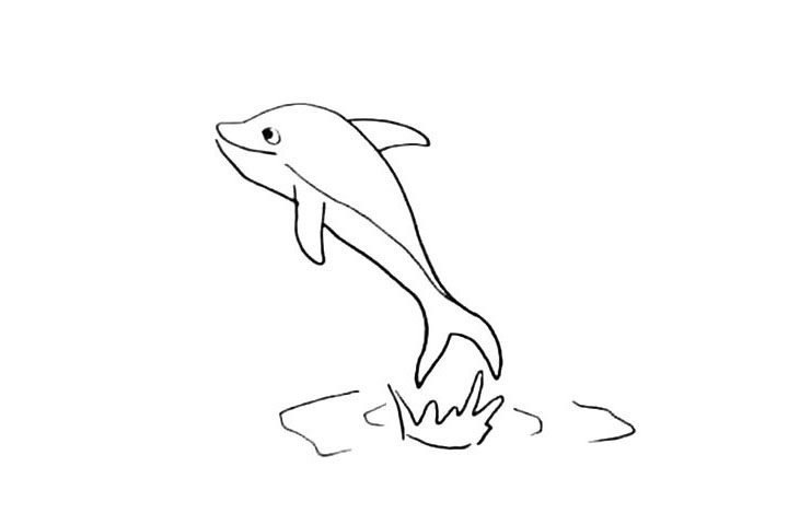 海豚简笔画怎么画