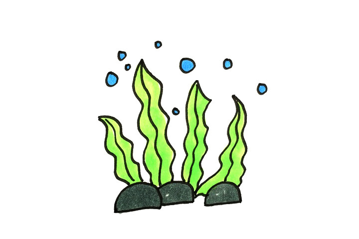 海草怎么画