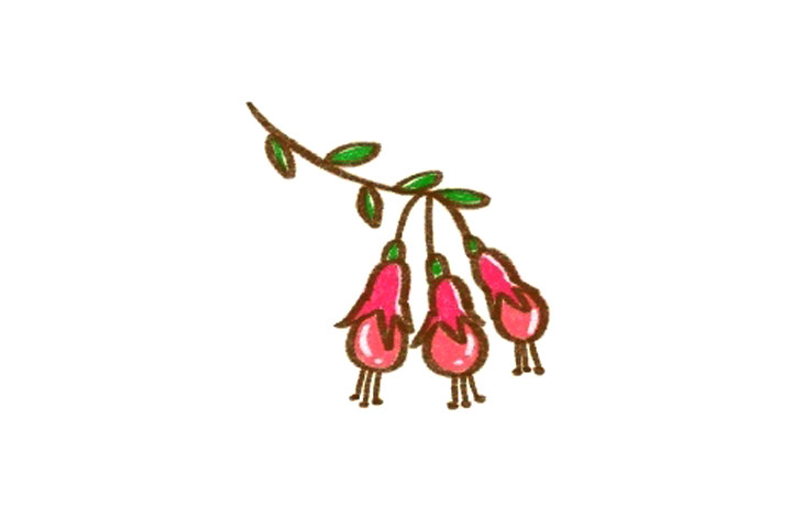 简单灯笼花简笔画