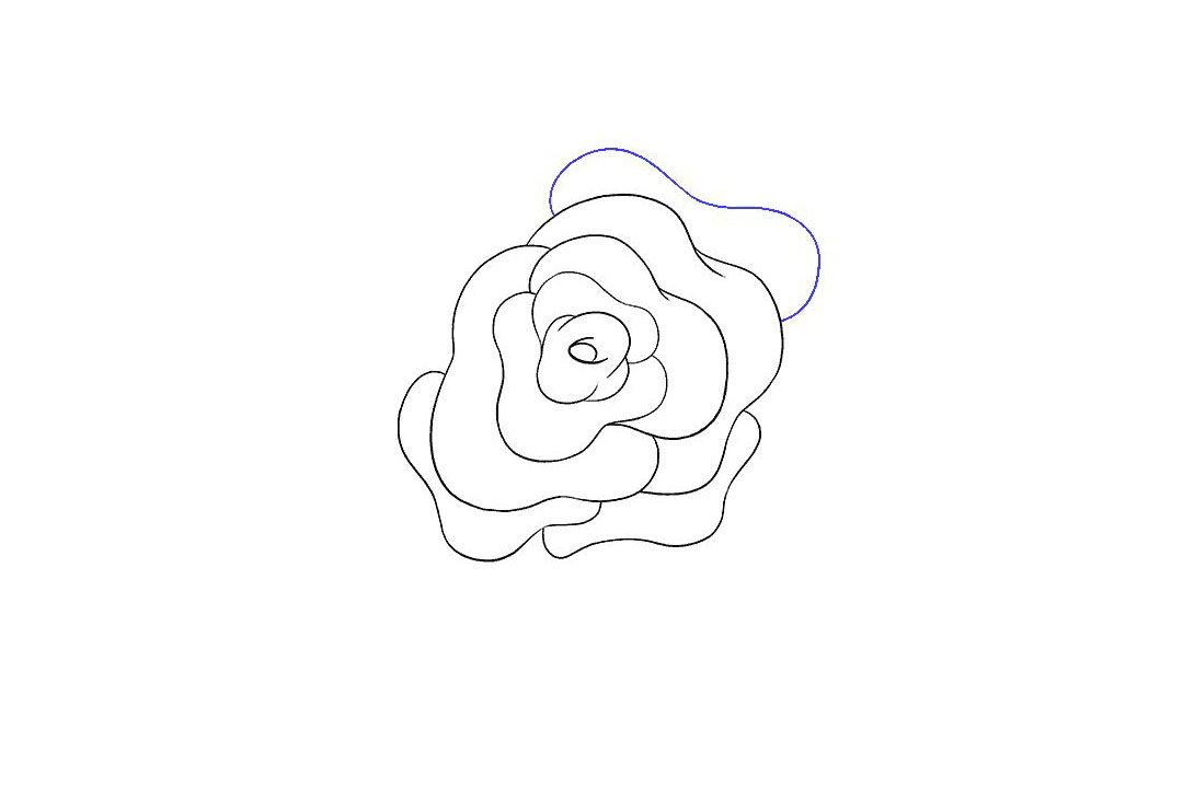 如何画玫瑰花简笔画