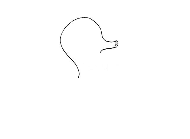 海马简笔画教程