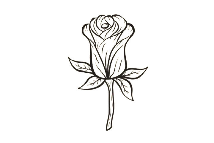 8种玫瑰花的画法