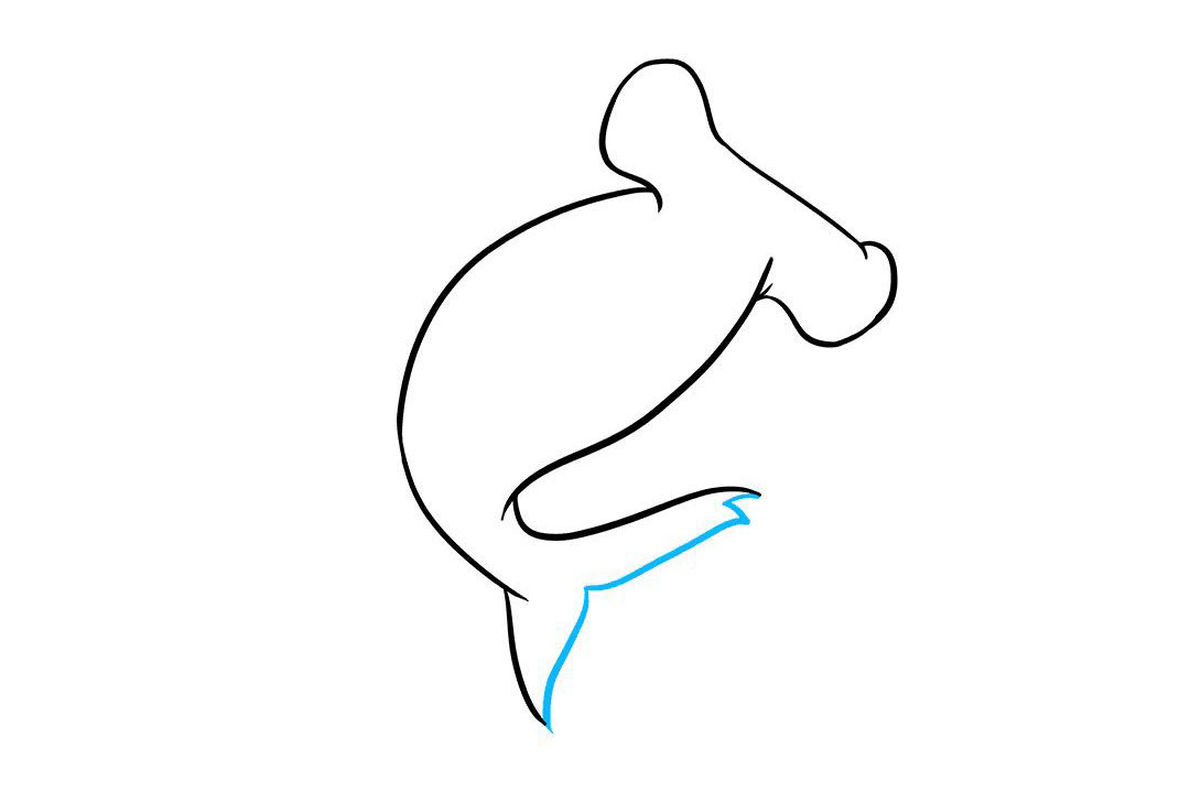 锤头鲨怎么画