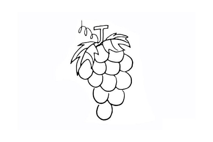 简单的葡萄简笔画教程