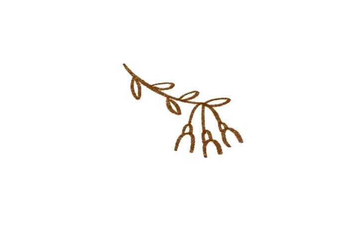 简单灯笼花简笔画