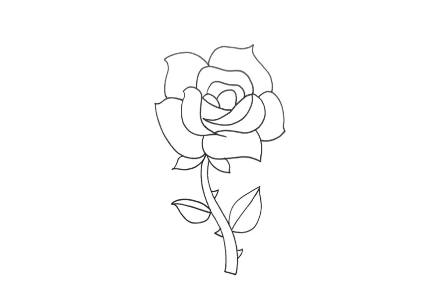 一步一步画玫瑰花简笔画