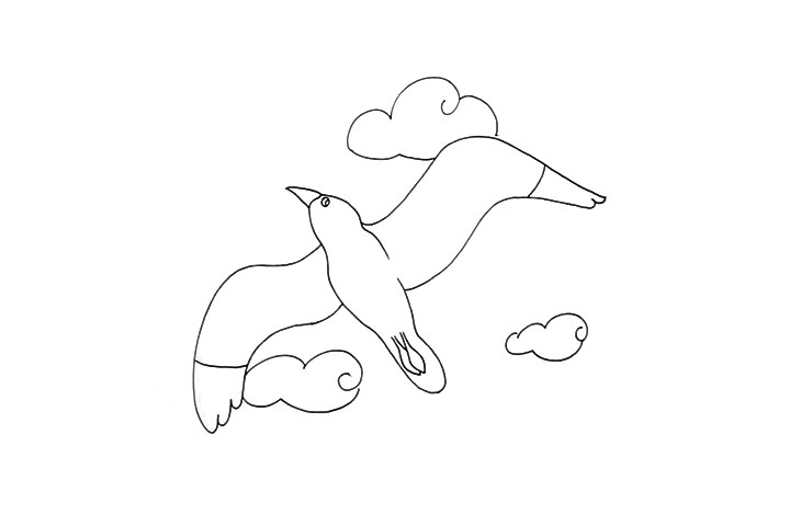 空中飞翔的海鸥怎么画 海鸥是什么