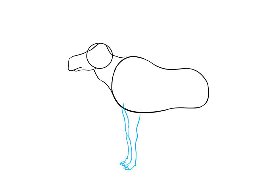 如何画驼鹿