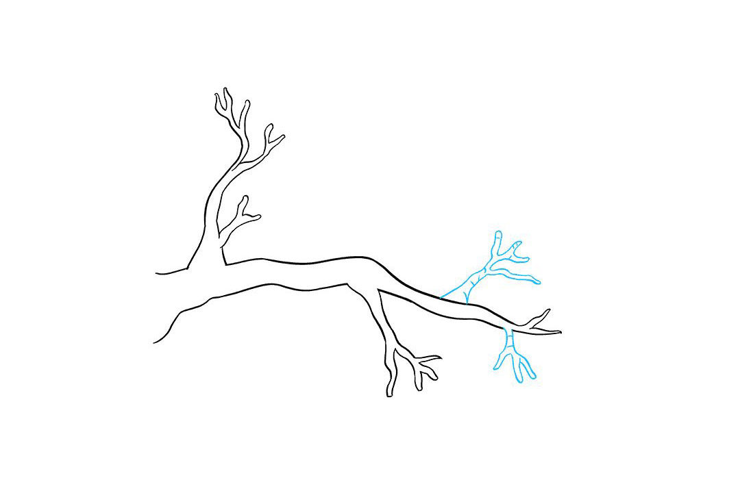 树枝怎么画