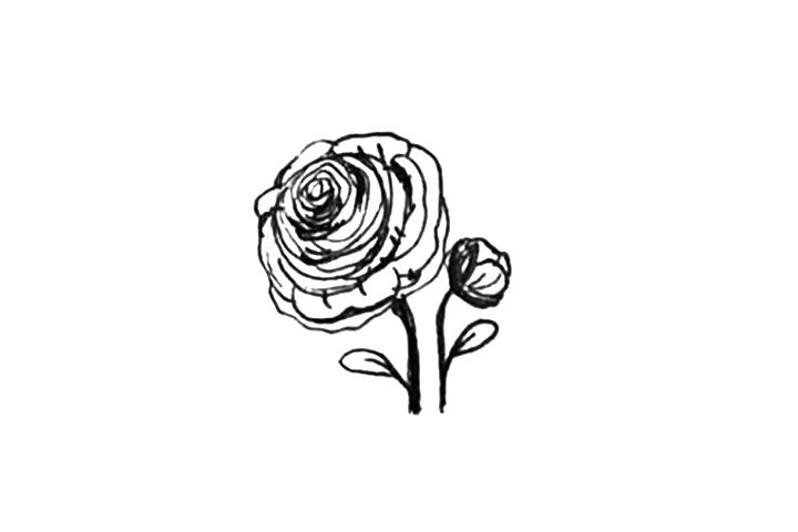 23种漂亮小花简笔画图片