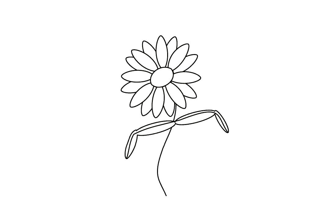 如何画雏菊花简笔画步骤