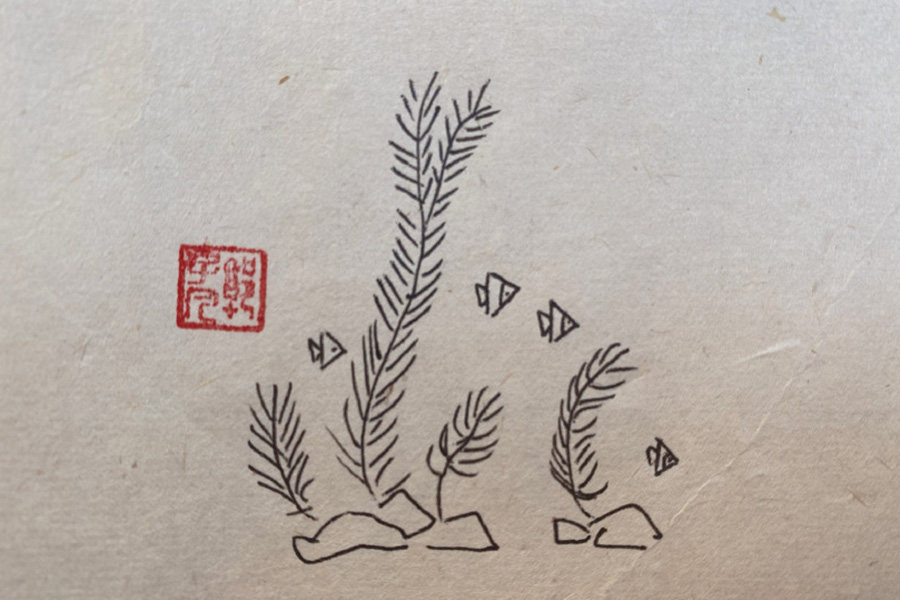 池塘风景简笔画图片