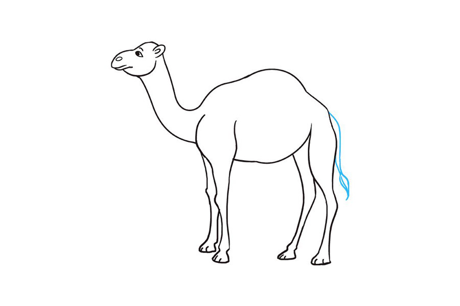 如何画骆驼