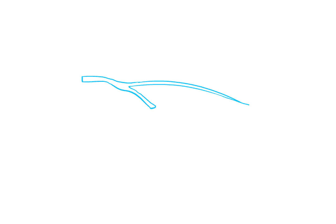 如何画松果简笔画