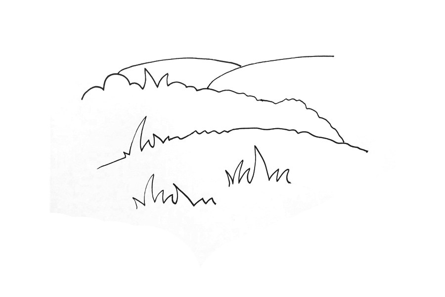 超简单草原怎么画