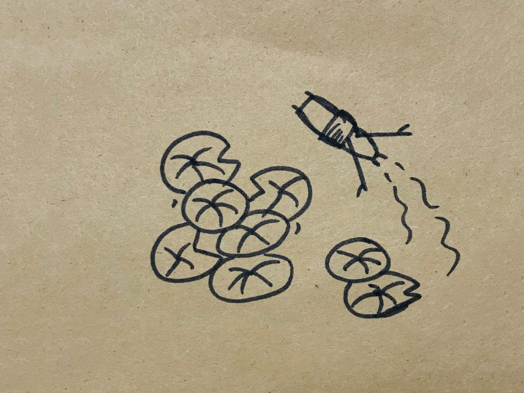 荷叶风景简笔画图片