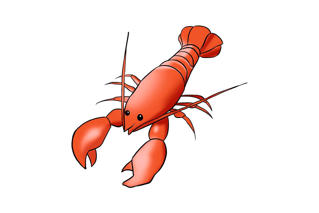 如何画龙虾简笔画