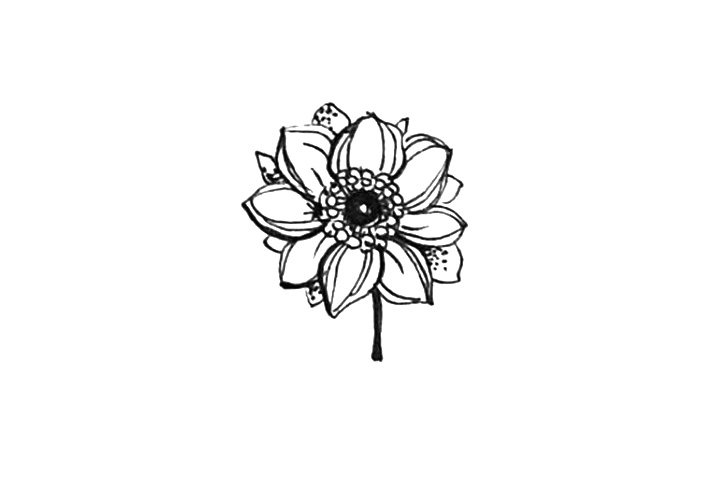 23种漂亮小花简笔画图片
